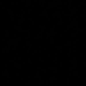 Meet your Posher, Natalia